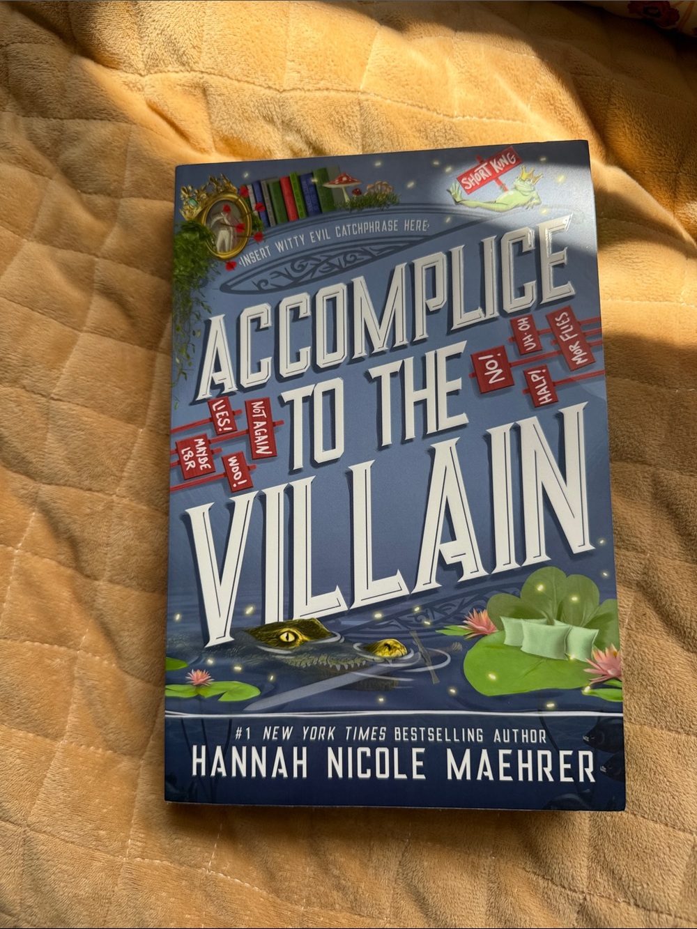 Accomplice to the villain